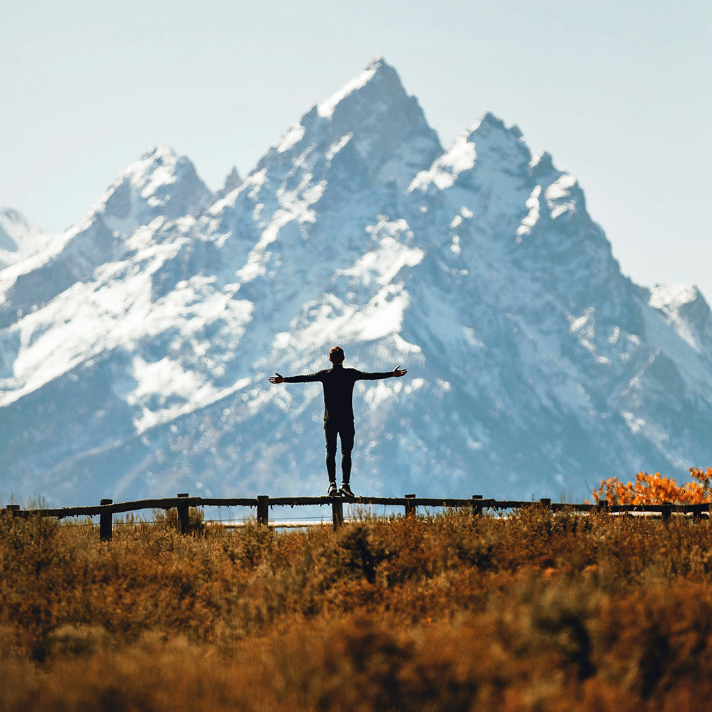 Standing free in a field with a mountain in the background