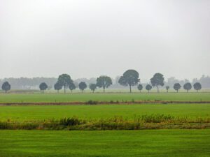 rainstorm over feilds